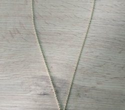 Pánský zlatý náhrdelník psí známka